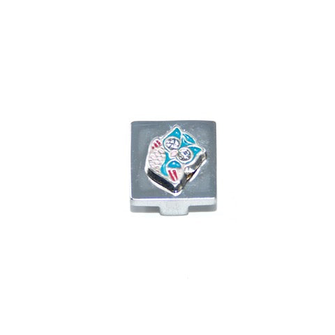 Charm Blue Owl