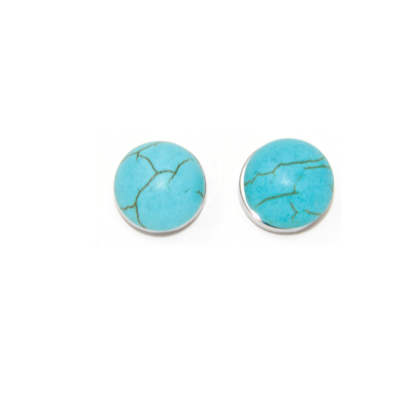 Post Earrings