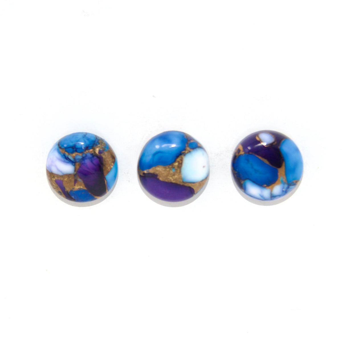Spiny Oyster Blue/Purple - Tiny Tude - Round